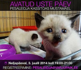 Avatud uste päev Pesaleidja kassitoas 3. juulil kell 19.00