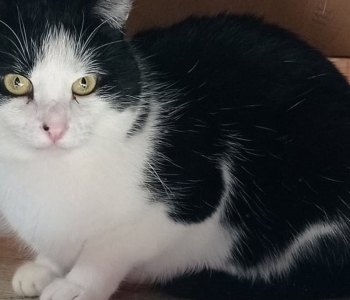 Mars on elanud õndsas teadmatuses oma tegelikust staatusest, ent nüüd haigestusid ta neerud