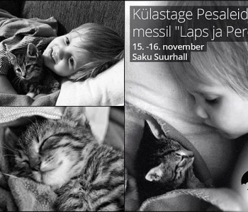 Külastage Pesaleidjat messil "Laps ja Pere" 15.-16.novembril Saku Suurhallis