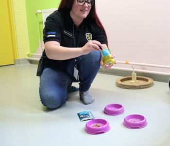 GALERII ⟩ Kodu ootavad kassid läksid trellide taha