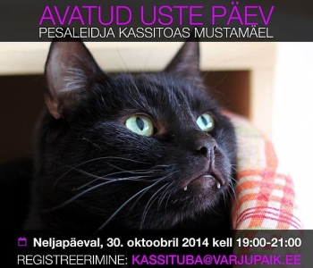 Avatud uste päev Pesaleidja kassitoas 30.oktoobril kell 19.00-21.00 Submitted by Jane on Esmasp, 27/10/2014 - 15:39