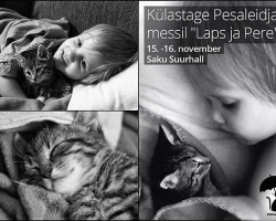 Külastage Pesaleidjat messil "Laps ja Pere" 15.-16.novembril Saku Suurhallis