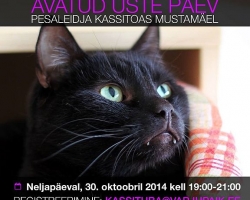 Avatud uste päev Pesaleidja kassitoas 30.oktoobril kell 19.00-21.00 Submitted by Jane on Esmasp, 27/10/2014 - 15:39